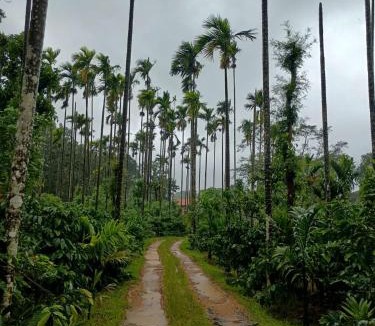 Kaimane House | Nature Spot Cottages Coorg