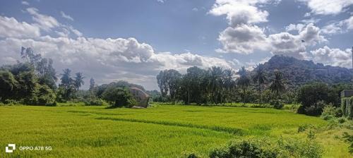 Sanapur House | DEVI HOMESTAy