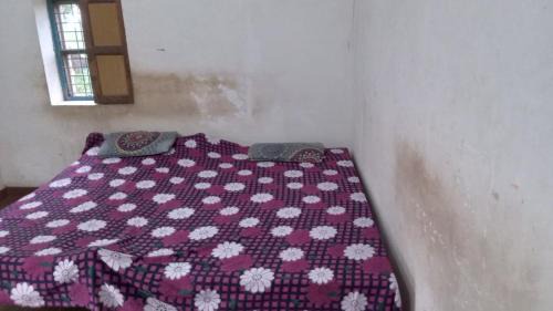 Naraini House | ankur prasad rural homestay