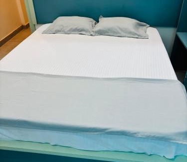 Rohtak Hotel | Hotel Minar