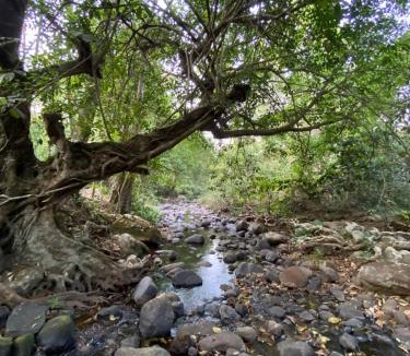 Kunjila House | FernHills Homestay