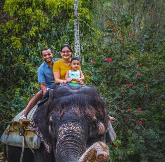 Pirmed Resort | Amritara Shalimar Spice Garden Resort & Spa