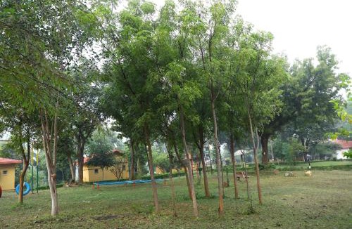 Khajuraho Hotel | TOURIST VILLAGE KHAJURAHO