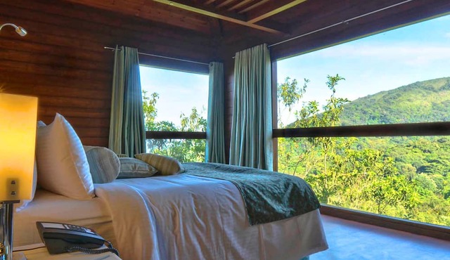 The Tamara Coorg