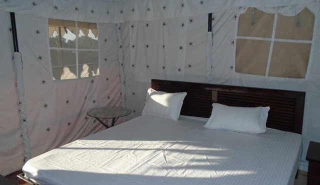 Pine pioneer the eco resort