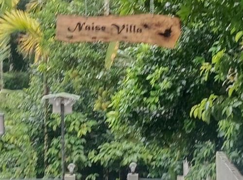 Naise villa