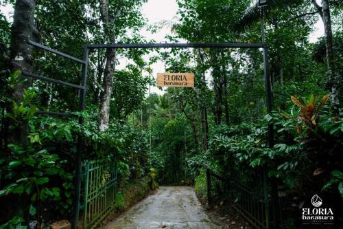 Eloria Banasura resort in Padinjarathara