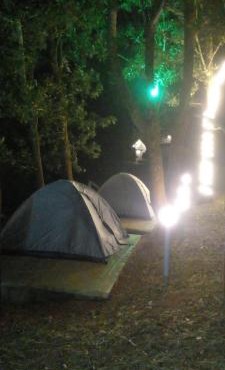 Golden Grove Treetops