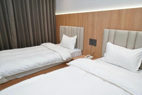 Hotel HPB Grand