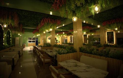 Tiger Aura Resort