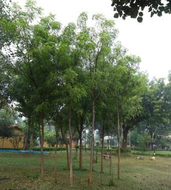 TOURIST VILLAGE KHAJURAHO